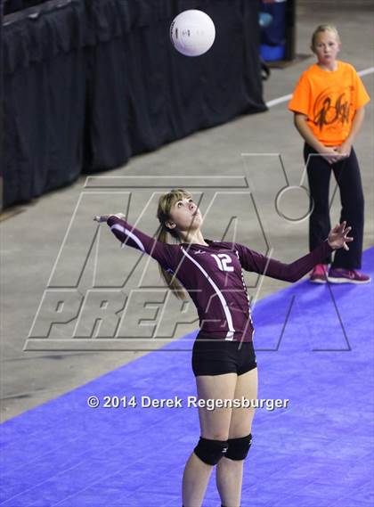 Thumbnail 1 in Idalia vs McClave (CHSAA 1A Playoff) photogallery.
