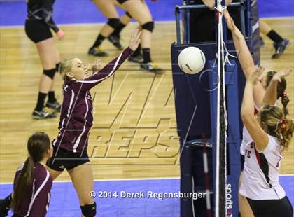 Thumbnail 3 in Idalia vs McClave (CHSAA 1A Playoff) photogallery.