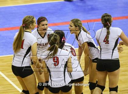 Thumbnail 1 in Idalia vs McClave (CHSAA 1A Playoff) photogallery.