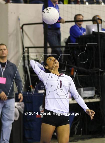 Thumbnail 1 in Idalia vs McClave (CHSAA 1A Playoff) photogallery.