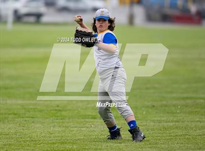 Thumbnail 2 in Irondequoit @ Mendon photogallery.
