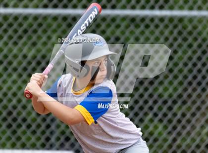 Thumbnail 3 in Irondequoit @ Mendon photogallery.