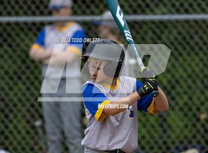 Thumbnail 3 in Irondequoit @ Mendon photogallery.