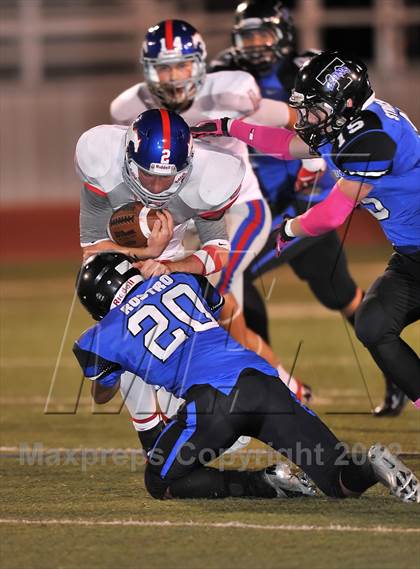 Thumbnail 3 in Grapevine @ Turner photogallery.