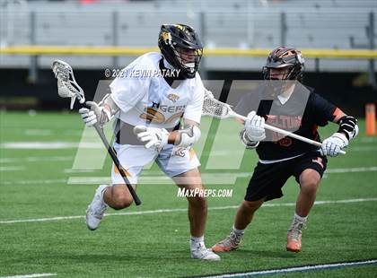 Thumbnail 1 in Shelton @ Daniel Hand (SCC D1 Quarterfinal) photogallery.