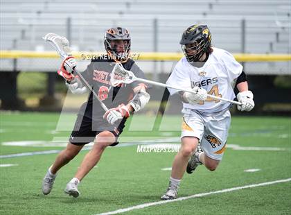 Thumbnail 1 in Shelton @ Daniel Hand (SCC D1 Quarterfinal) photogallery.