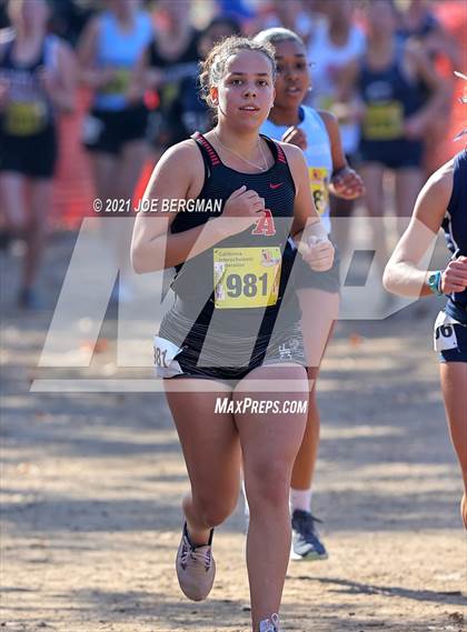 Thumbnail 1 in CIF State Cross Country Championships (Girls D5 Race) photogallery.