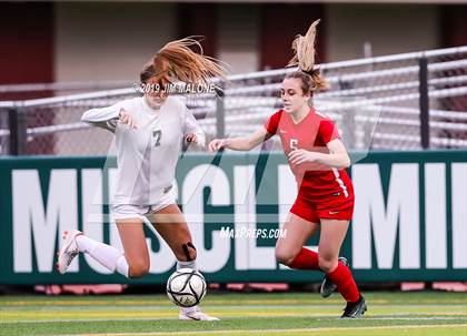 Thumbnail 3 in San Ramon Valley vs. Carondelet (CIF NCS D1 Final) photogallery.