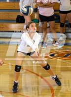 Photo from the gallery "Miramonte @ St. Joseph Notre Dame"