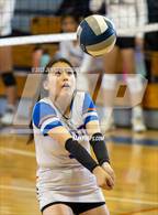 Photo from the gallery "Miramonte @ St. Joseph Notre Dame"