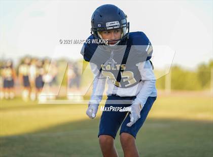 Thumbnail 1 in Williams Field @ Casteel photogallery.