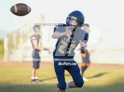 Thumbnail 2 in Williams Field @ Casteel photogallery.
