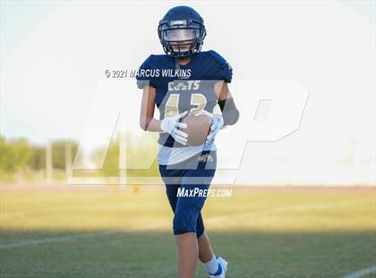 Thumbnail 1 in Williams Field @ Casteel photogallery.