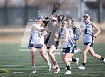 Thumbnail 3 in Rocky Mountain @ Columbine photogallery.