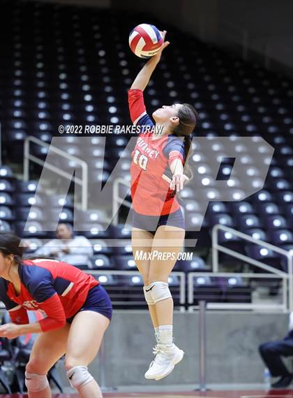 Thumbnail 2 in Aubrey vs. Bellville (UIL 4A Semifinal) photogallery.