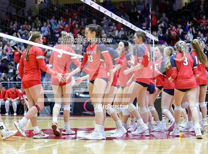 Thumbnail 1 in Aubrey vs. Bellville (UIL 4A Semifinal) photogallery.