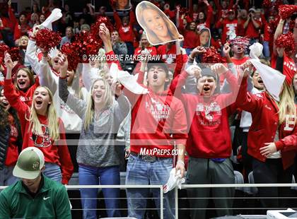 Thumbnail 2 in Aubrey vs. Bellville (UIL 4A Semifinal) photogallery.