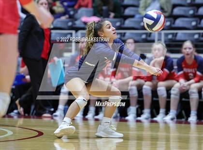 Thumbnail 1 in Aubrey vs. Bellville (UIL 4A Semifinal) photogallery.