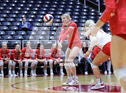 Thumbnail 1 in Aubrey vs. Bellville (UIL 4A Semifinal) photogallery.