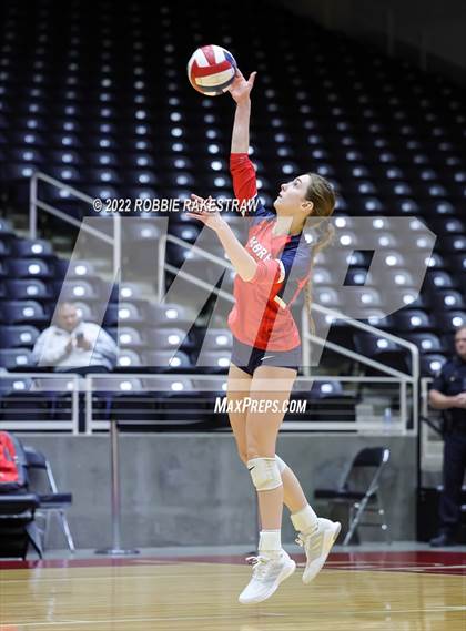 Thumbnail 2 in Aubrey vs. Bellville (UIL 4A Semifinal) photogallery.