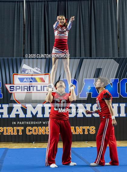 Thumbnail 3 in Bisbee - Stunt (AIA Division III-IV Final) photogallery.