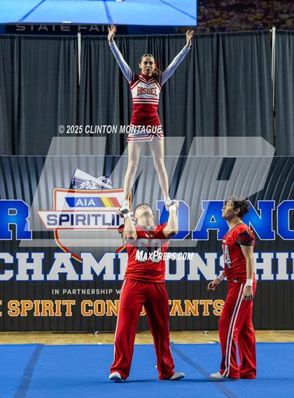 Thumbnail 3 in Bisbee - Stunt (AIA Division III-IV Final) photogallery.