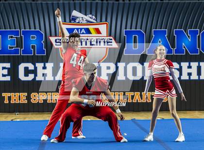 Thumbnail 3 in Bisbee - Stunt (AIA Division III-IV Final) photogallery.