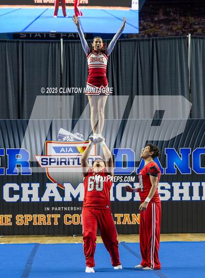 Thumbnail 2 in Bisbee - Stunt (AIA Division III-IV Final) photogallery.