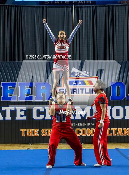 Thumbnail 2 in Bisbee - Stunt (AIA Division III-IV Final) photogallery.