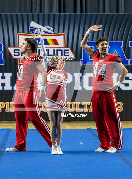 Thumbnail 1 in Bisbee - Stunt (AIA Division III-IV Final) photogallery.