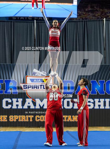 Thumbnail 3 in Bisbee - Stunt (AIA Division III-IV Final) photogallery.