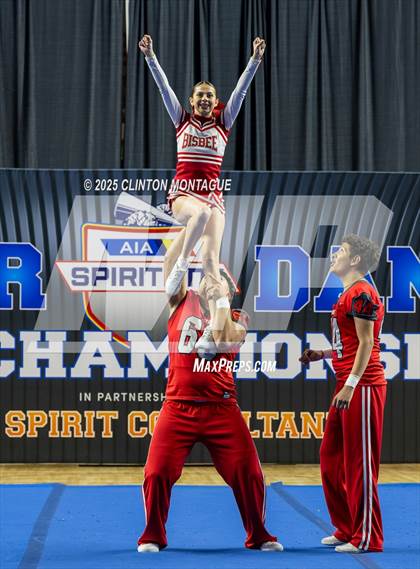 Thumbnail 3 in Bisbee - Stunt (AIA Division III-IV Final) photogallery.