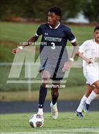 Photo from the gallery "Providence @ Weddington"