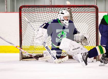 Thumbnail 2 in Northeastern @ Redhawks  photogallery.