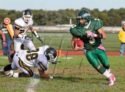 Thumbnail 2 in Sachem North @ William Floyd photogallery.