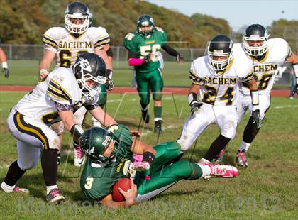 Thumbnail 1 in Sachem North @ William Floyd photogallery.