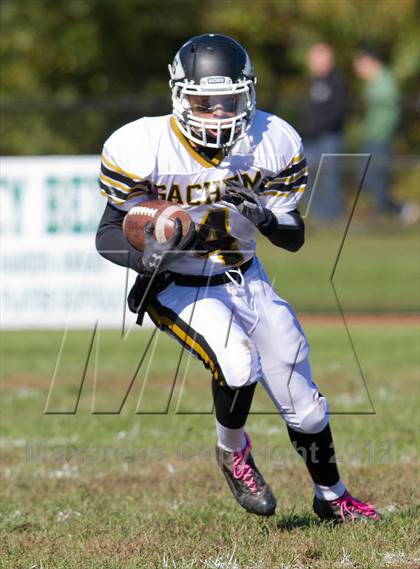 Thumbnail 2 in Sachem North @ William Floyd photogallery.