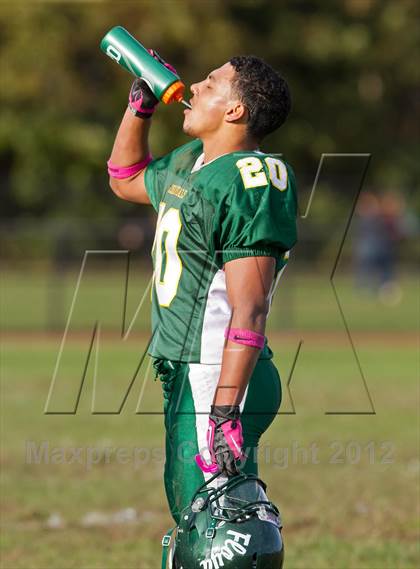 Thumbnail 2 in Sachem North @ William Floyd photogallery.