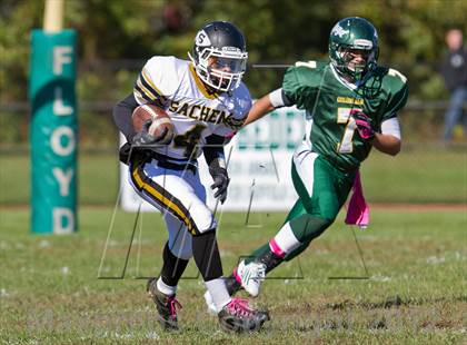 Thumbnail 3 in Sachem North @ William Floyd photogallery.