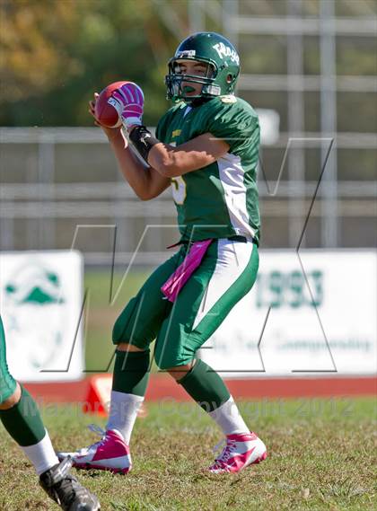 Thumbnail 1 in Sachem North @ William Floyd photogallery.