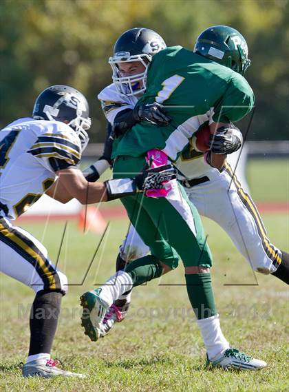 Thumbnail 1 in Sachem North @ William Floyd photogallery.