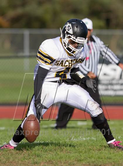 Thumbnail 1 in Sachem North @ William Floyd photogallery.