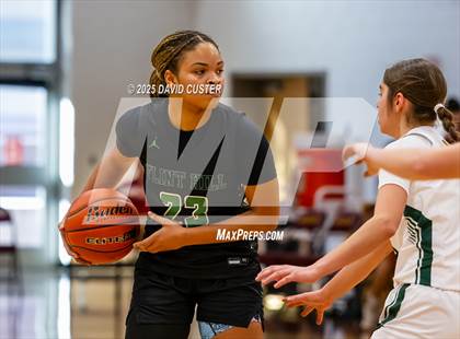 Thumbnail 3 in Flint Hill @ Falls Church (Cassel's Holiday Classic) photogallery.