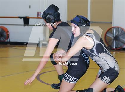 Thumbnail 1 in Century Conference League Wrestling Championships  photogallery.