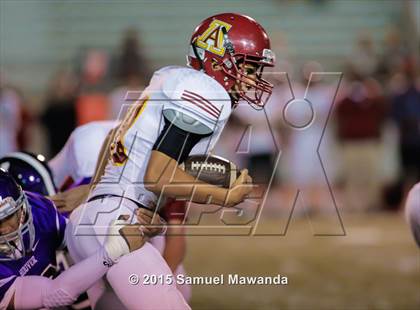 Thumbnail 3 in Arcadia @ Hoover photogallery.