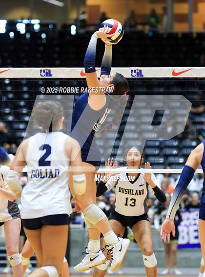 Thumbnail 1 in Bushland vs. Goliad (UIL 3A D1 Volleyball Final) photogallery.