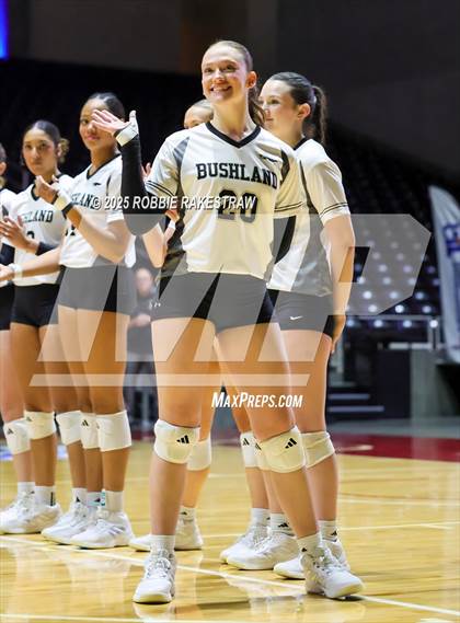 Thumbnail 1 in Bushland vs. Goliad (UIL 3A D1 Volleyball Final) photogallery.