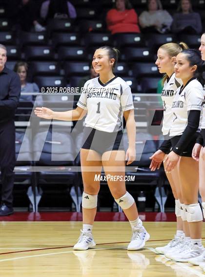 Thumbnail 1 in Bushland vs. Goliad (UIL 3A D1 Volleyball Final) photogallery.