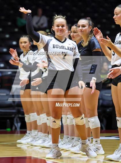 Thumbnail 1 in Bushland vs. Goliad (UIL 3A D1 Volleyball Final) photogallery.