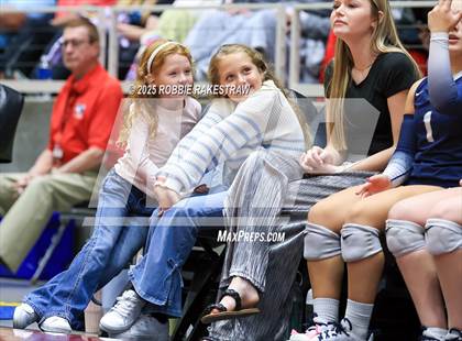 Thumbnail 3 in Bushland vs. Goliad (UIL 3A D1 Volleyball Final) photogallery.